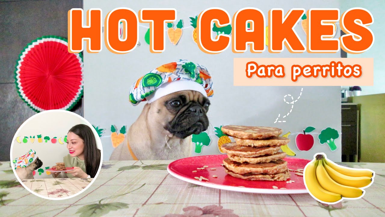 HOT CAKES  🥞 PARA PERRITOS 🐶 | RECETAS FÁCILES Y DELICIOSAS 😋 | Cora Linda Pug