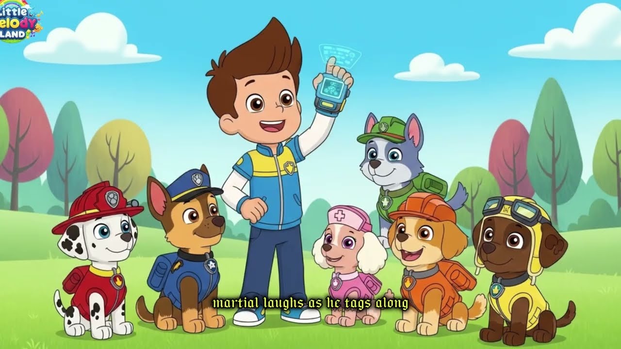 paw patrol c1