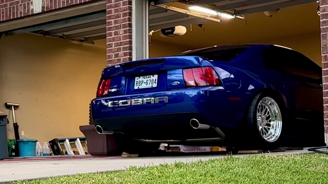 Sonic blue cobra getting tucked away