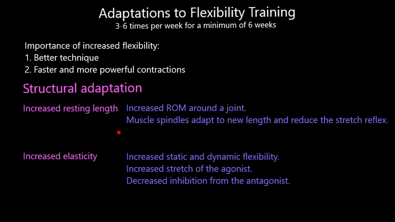 Adaptations to Flexibility Training