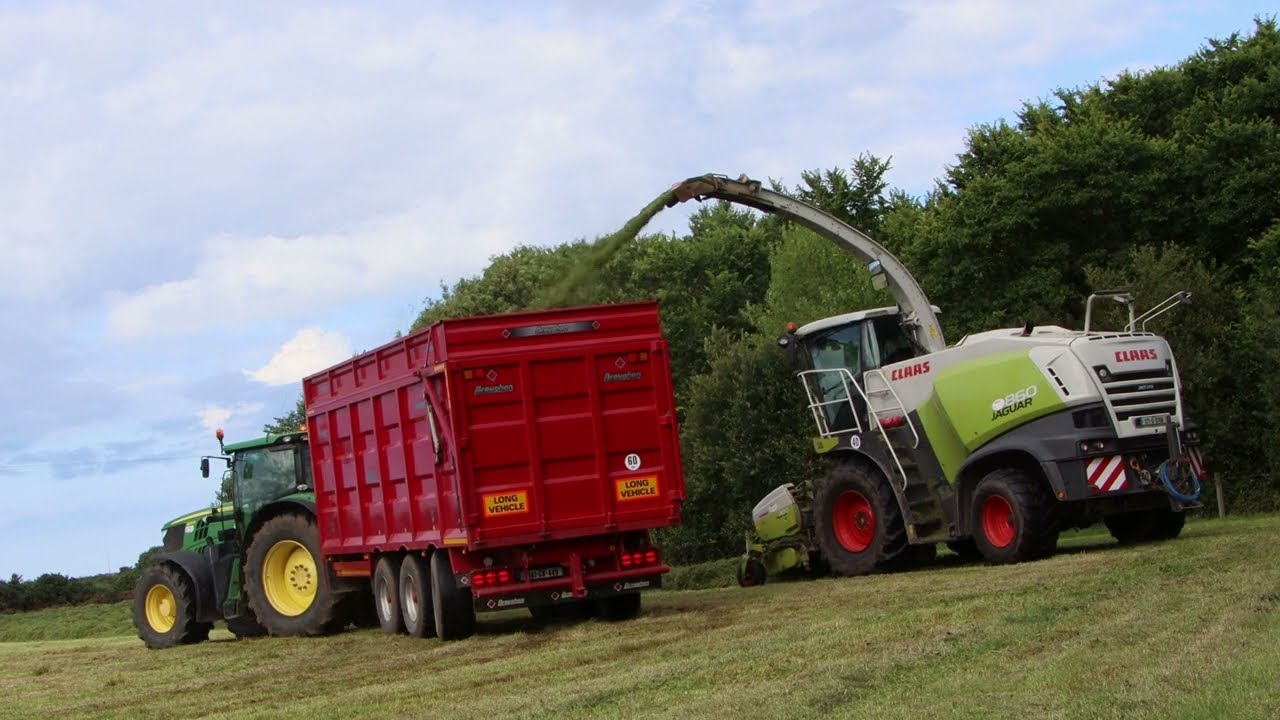 silage 24! murphys