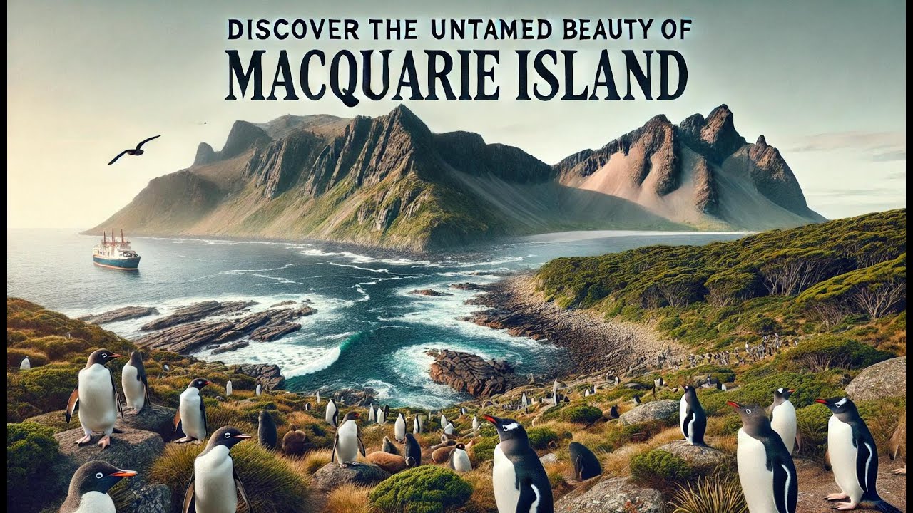 Discover the Untamed Beauty of Macquarie Island.
