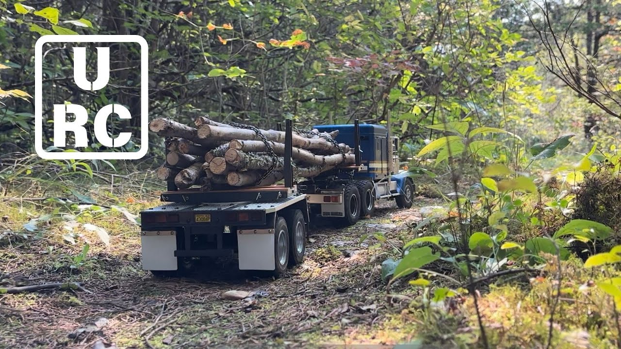 Tamiya King Hauler with GCM LRT Transmission Hauls Logs