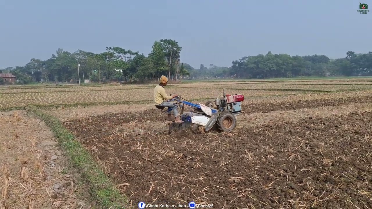 জমি হাল চাষ Ploughing The land