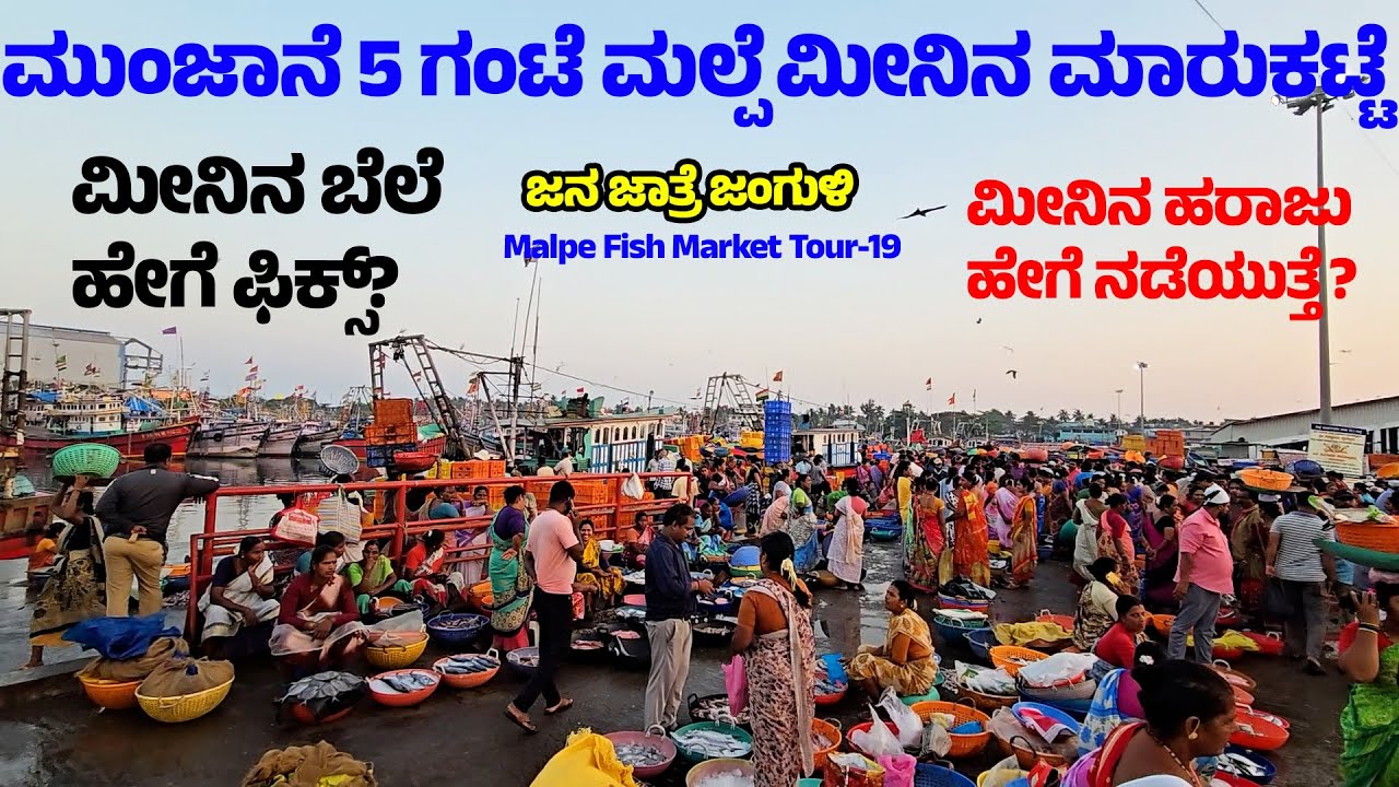 ಮೀನಿನ ಹರಾಜು ಹೇಗೆ ನಡೆಯುತ್ತೆ ?ಮೀನಿನ ಬೆಲೆ ಹೇಗೆ ಫಿಕ್ಸ್? ಮಲ್ಪೆ ಮೀನಿನ ಮಾರುಕಟ್ಟೆ- MALPE Fish Market Tour-19