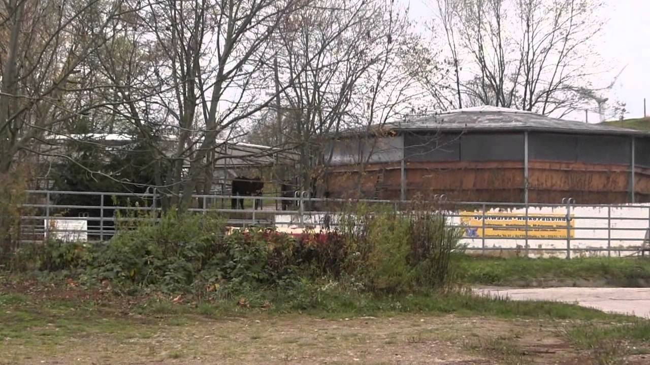 HWL Reitverein e.V. Gleisberg, Impressionen