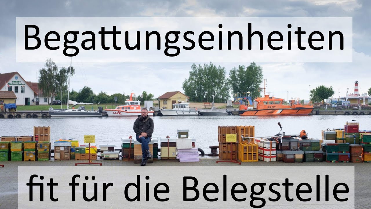 Begattungseinheiten für Zuhause und die Belegstelle