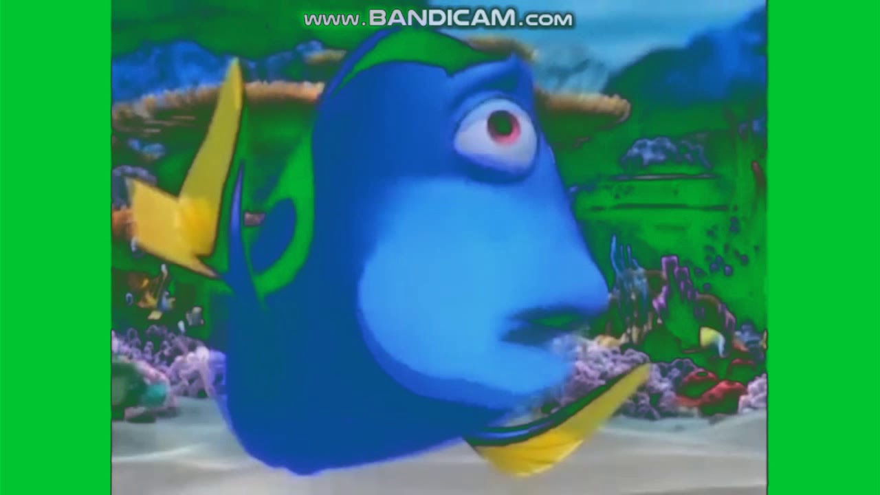dory effect