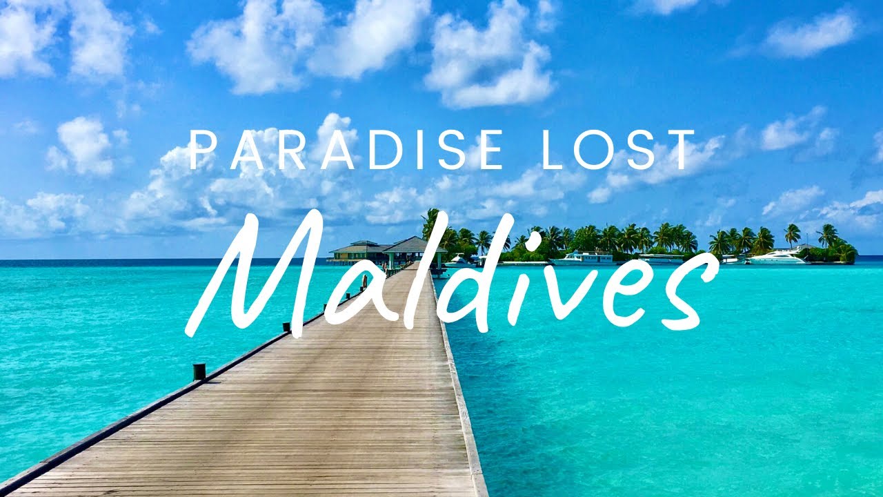 Snorkeling at SUN ISLAND MALDIVES (Nalaguraidhoo Ari Atoll) EP.1