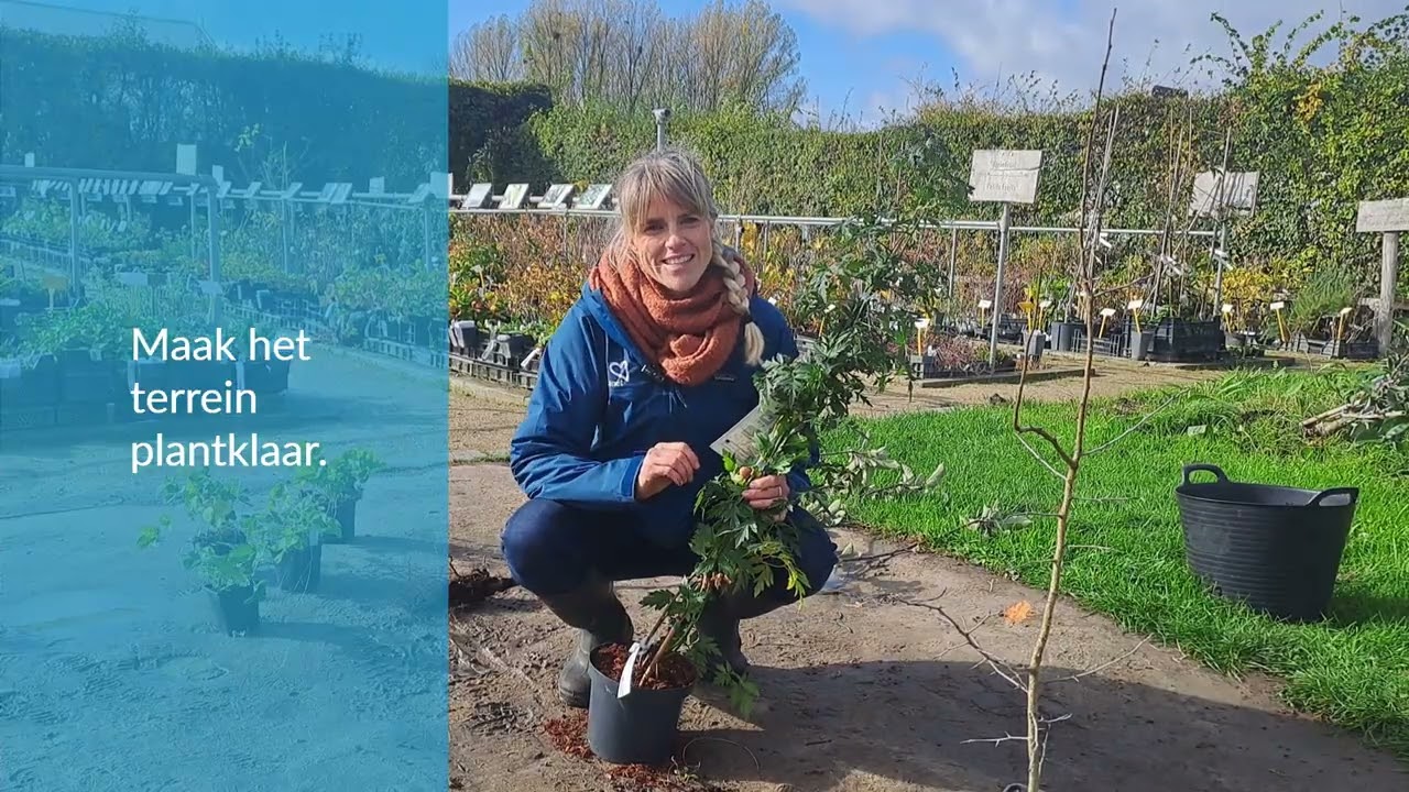 Hoe plant je een Snoepbosje van GoodPlanet?