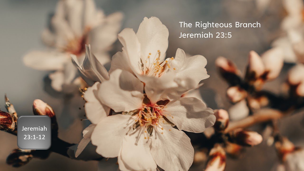 Jeremiah 23:1-12: Rules