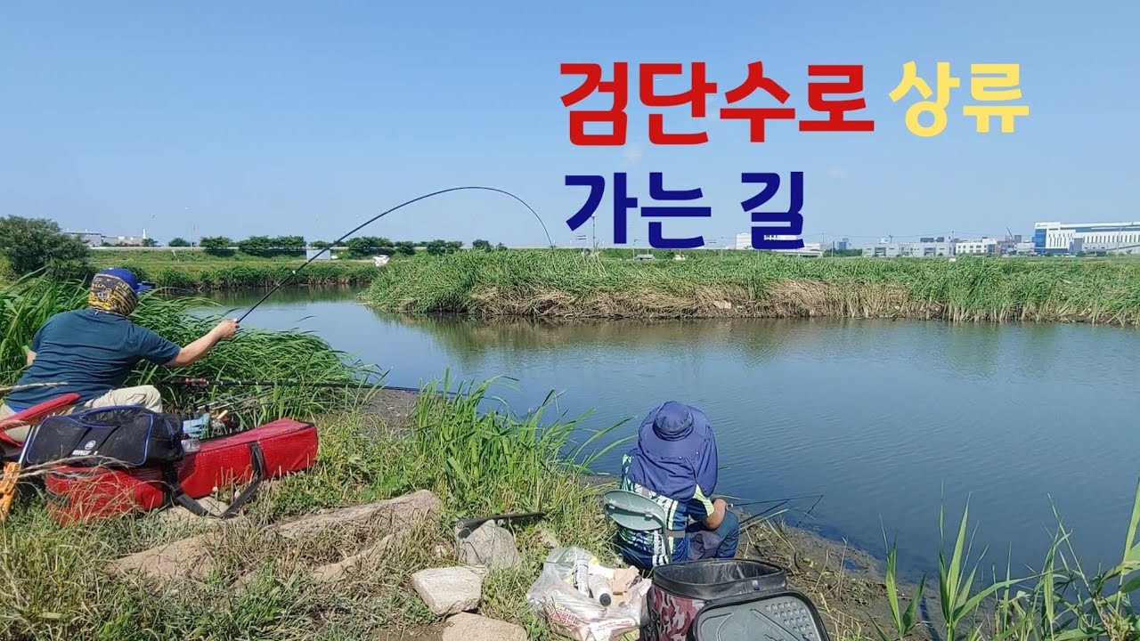 검단수로 상류 가는길!! 재미있는 붕어낚시