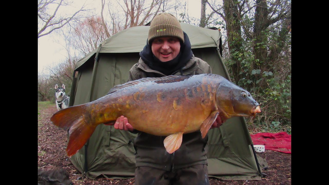 Top Lake January 2025 session Big Mirror Carp #44
