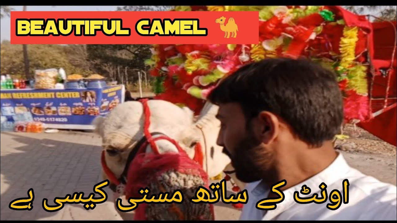 Hum 4 dost🤝 Islamabad Shakarparian 🤗dekhne ja rahe hain🤣🚗 شکر پڑیاں دیکھنے جا رہے ہیں 😲