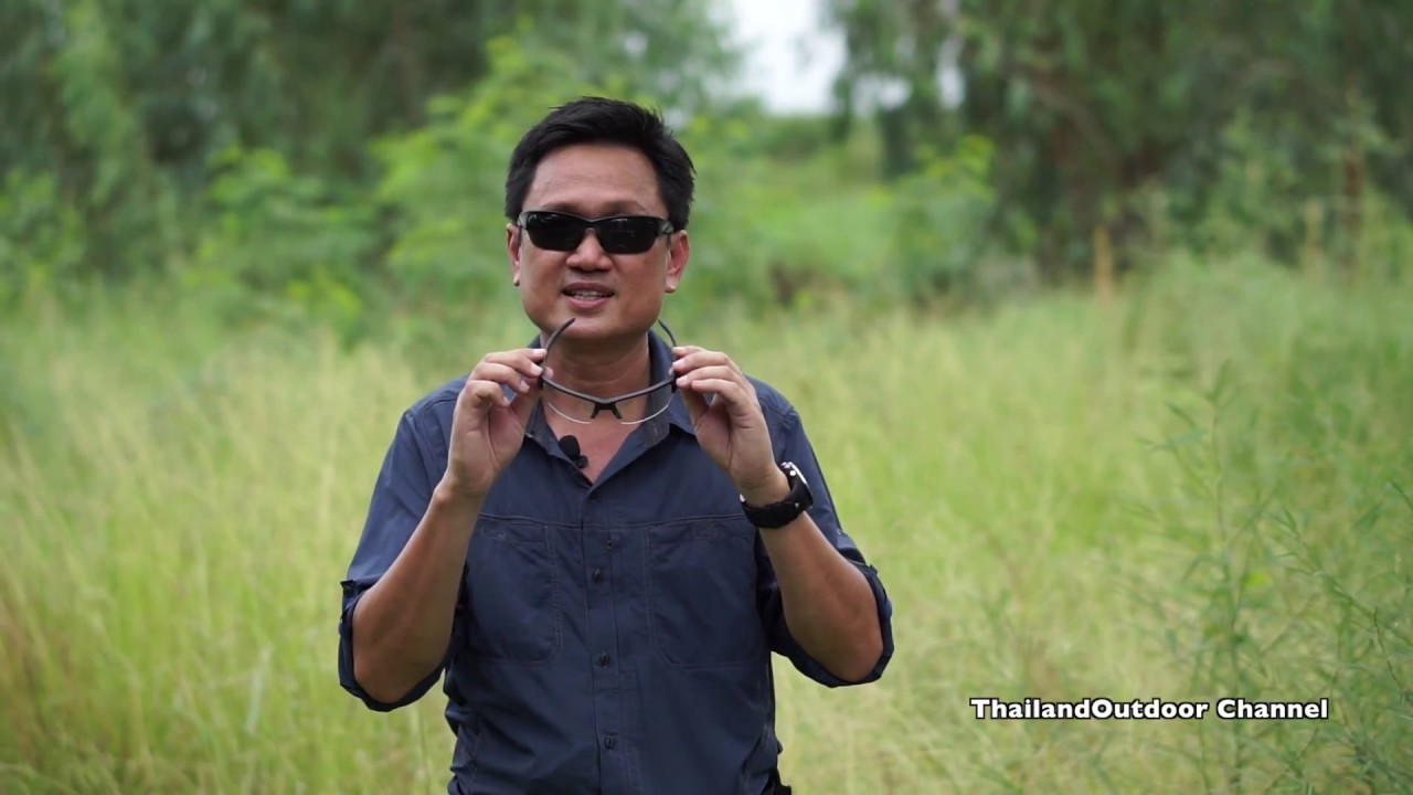 เลือกแว่นตา WileyX