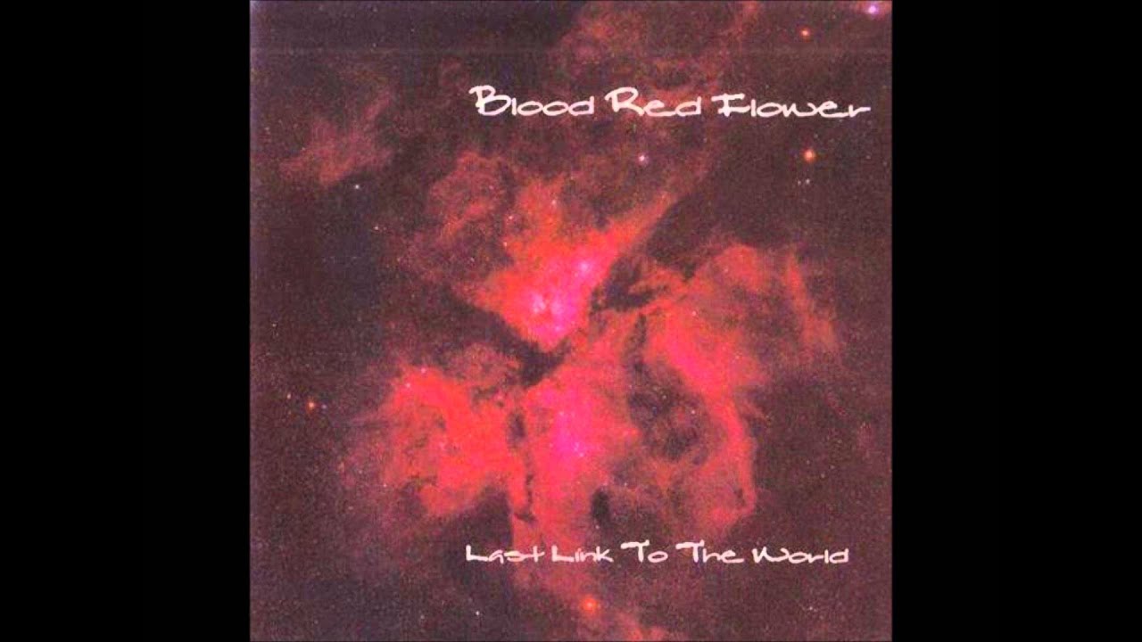 BLOOD RED FLOWER - 