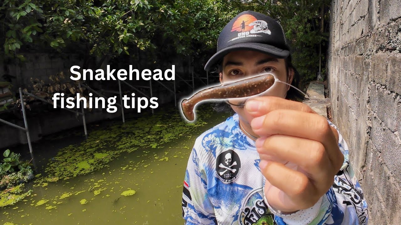 Napaka simple pero effective na tips for SNAKEHEAD FISHING | Y5E2