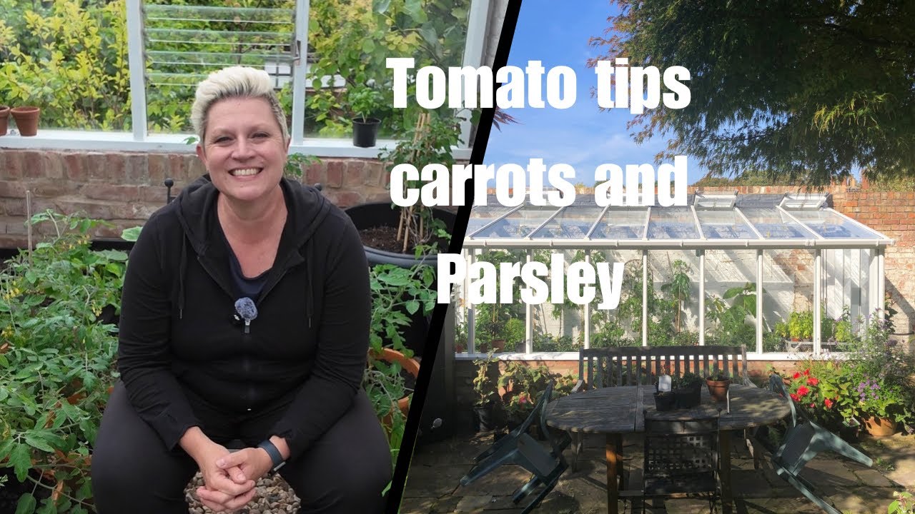 Tending to the tomatoes. Resowing carrots and its Parsley action!!