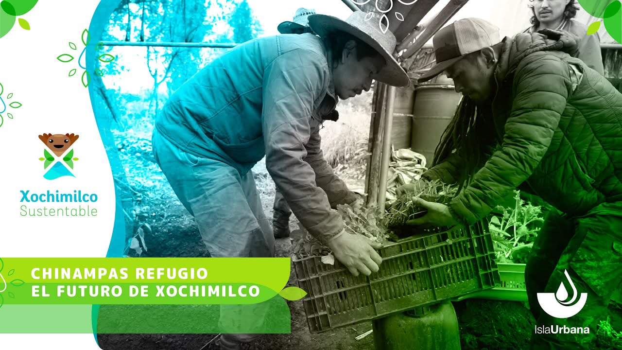Así funcionan las Chinampas Refugio, un modelo de sostenibilidad en Xochimilco - Isla Urbana