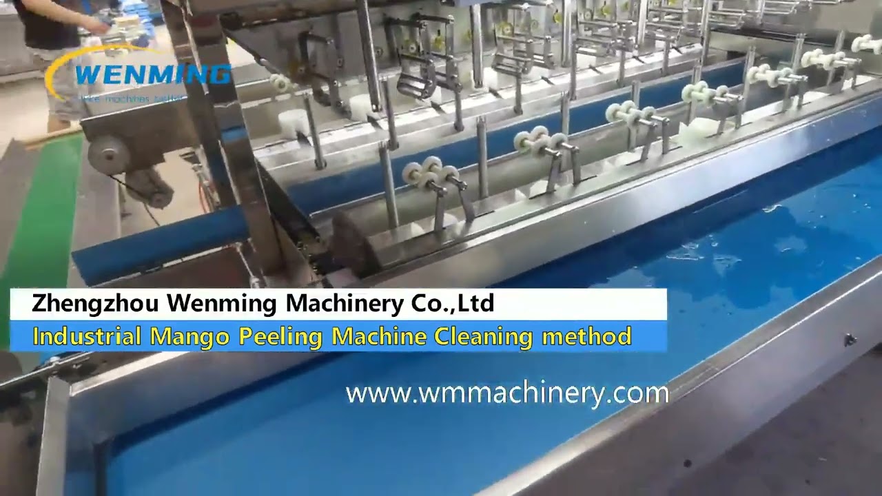 Industrial Mango Peeler Machine Cleaning method