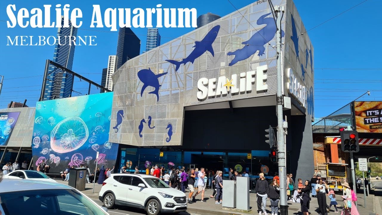 SeaLife Aquarium Melbourne