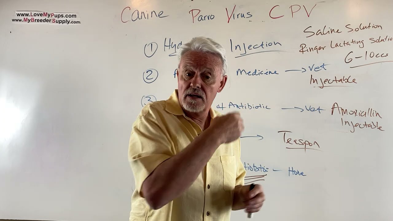 Parvo CPV Diagnosis, Prevention & Treatment part2