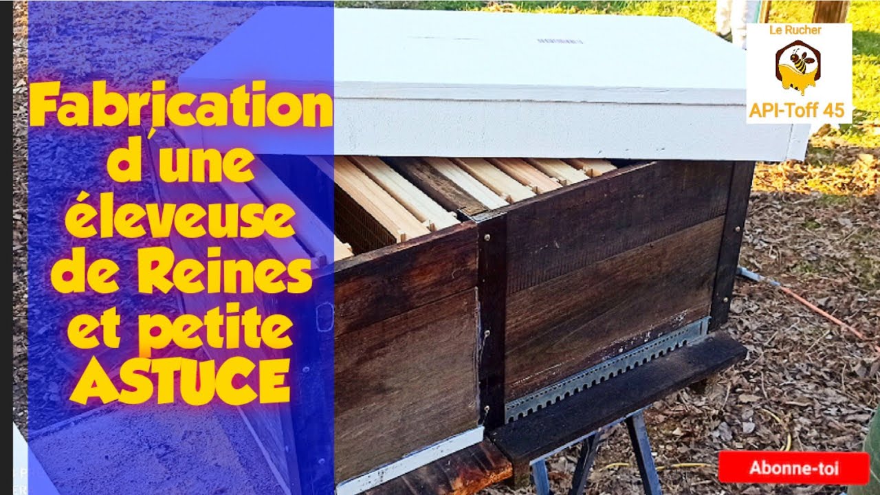 Apiculture: Fabrication d'une RUCHE ÉLEVEUSE et petite ASTUCE 🍯