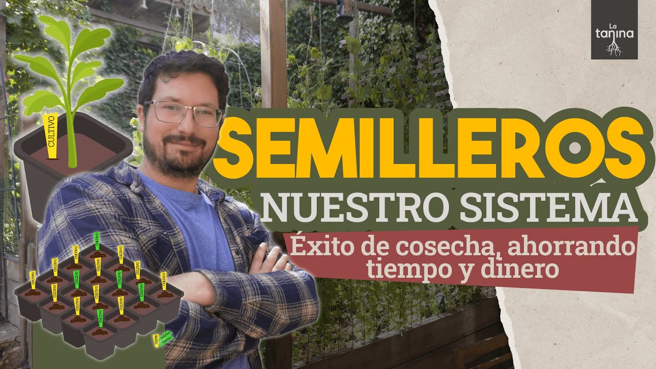 Los MEJORES SEMILLEROS: nuestros SISTEMA optimizado 😍🌾
