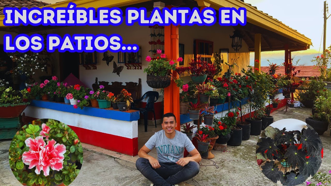 Lo que ocultan los jardines Antioqueños, hermoso taller de plantas de Cecilia |AP