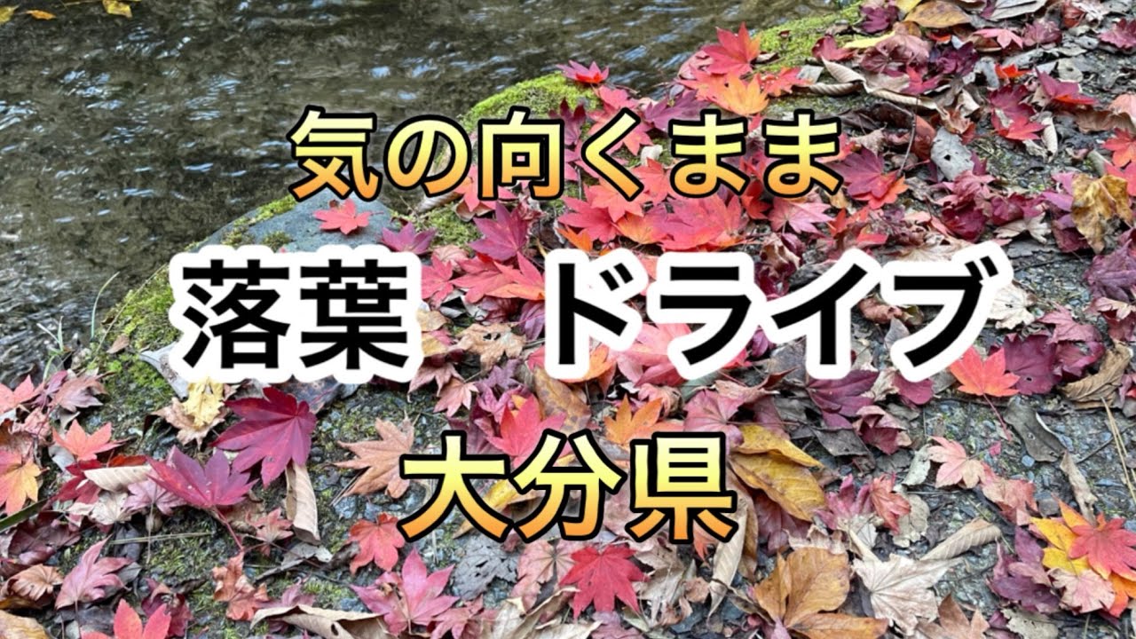 大分県、国道387号〜国道500号、岳切渓谷を行く　　#大分県 #国道387号 #国道500号 #岳切渓谷 #紅葉