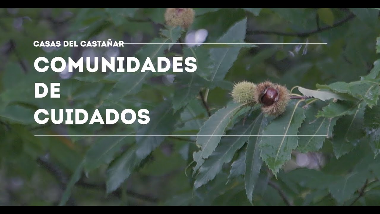 Casas del Castañar, Comunidad de Cuidados