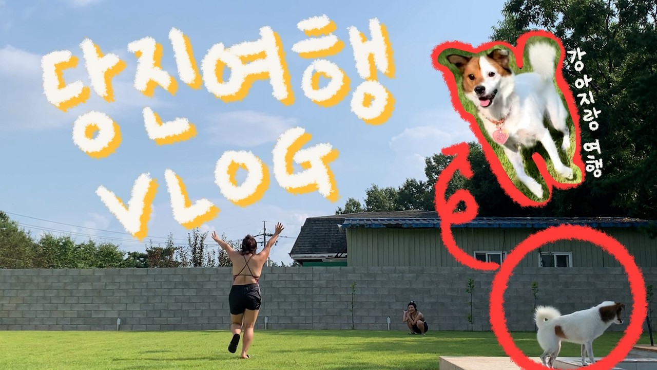 [Vlog] 언제나 