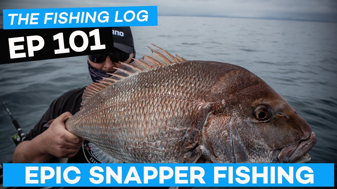 Flog 101 // Epic Snapper fishing