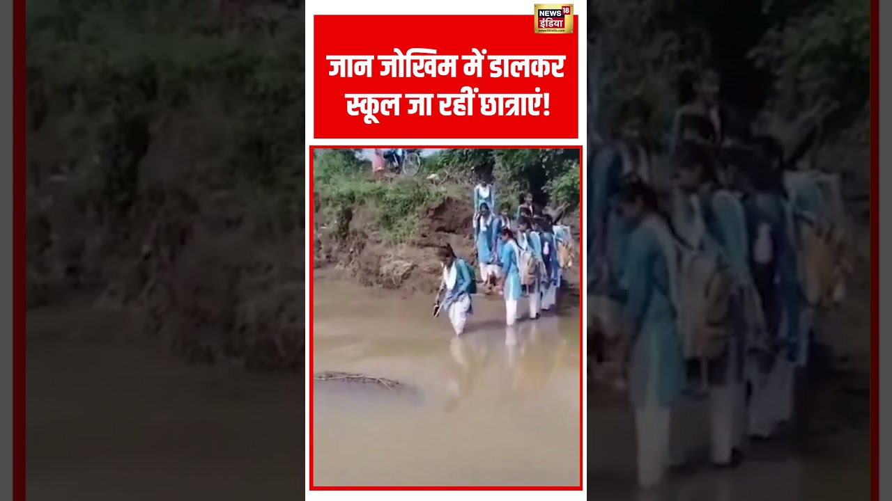 MP News: जान जोखिम में डालकर स्कूल जा रहीं छात्राएं! | #shorts #viralvideo #viralnews