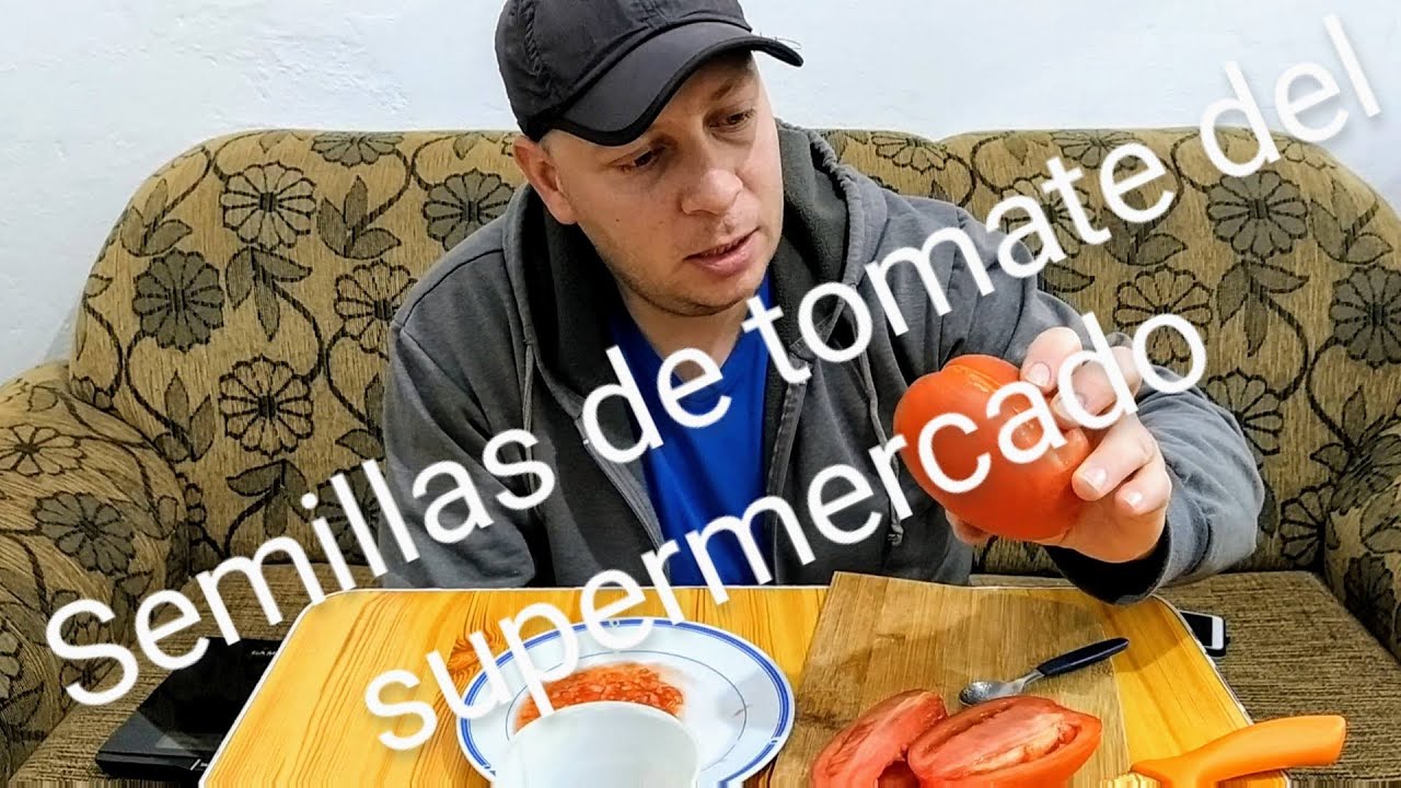 como conseguir semillas de tomate para la próxima temporada.