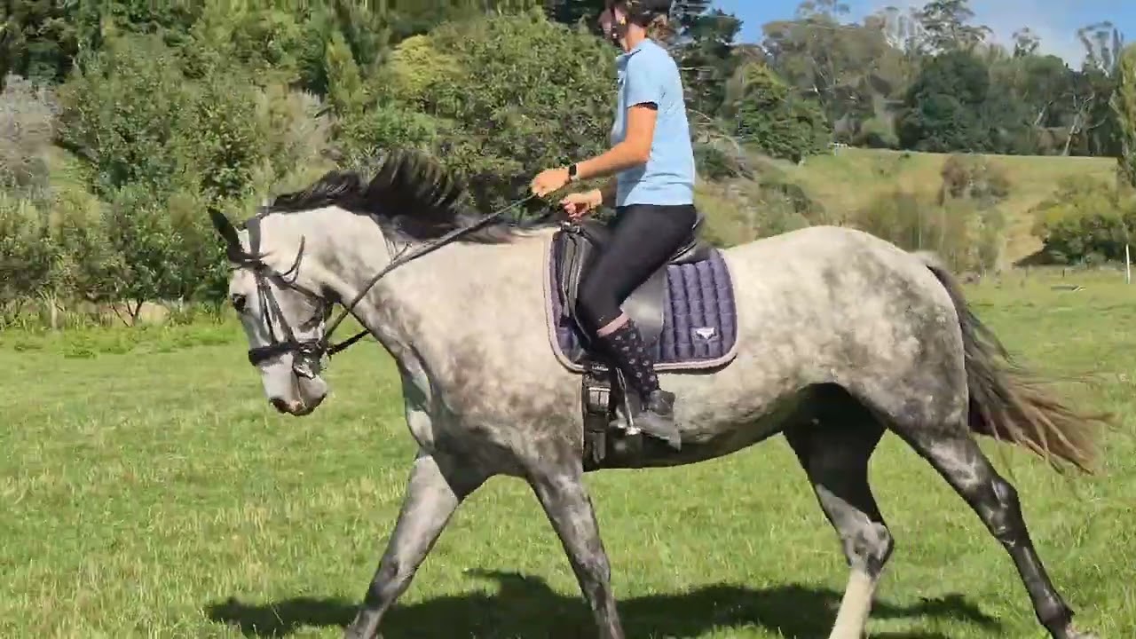 Rico 