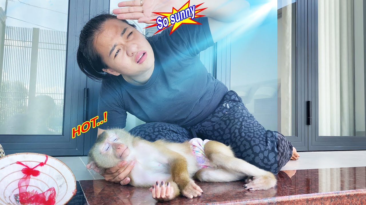 What's going on??? Monkey Lyly was lying on the floor when she just came home from playing.