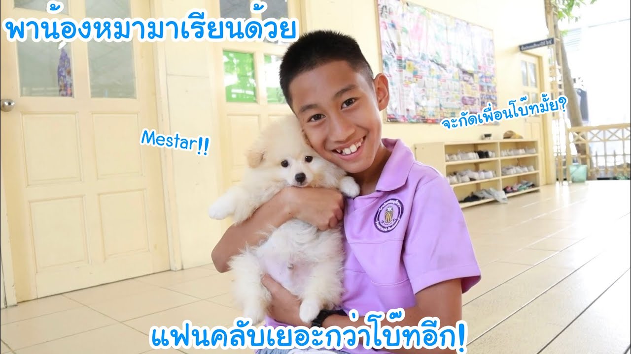 โบ๊ทพาน้องหมา เมสต้า มาเรียนหนังสือด้วย! จะกัดเพื่อนโบ๊ทมั้ย? แฟนคลับหมาเยอะมาก | KAMSING FAMILY