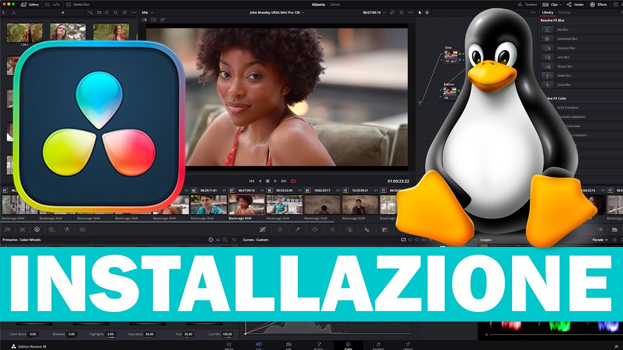 Come INSTALLARE DaVinci Resolve su LINUX? - GUIDA COMPLETA per Fedora, Ubuntu, Debian e Arch!