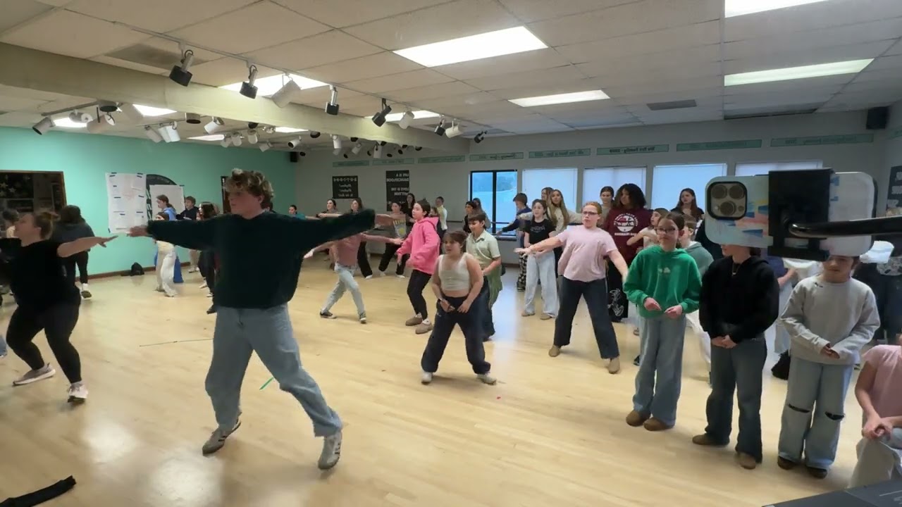 The Auditions - with spots