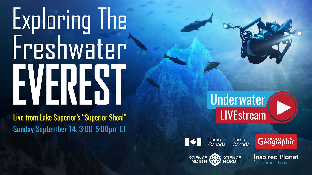 Underwater Livestream from &ldquo;The Freshwater Everest&rdquo; &mdash; Superior Shoal