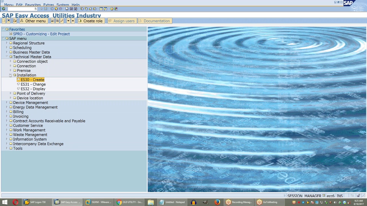 SAP ISU Device installation and Move in document processing