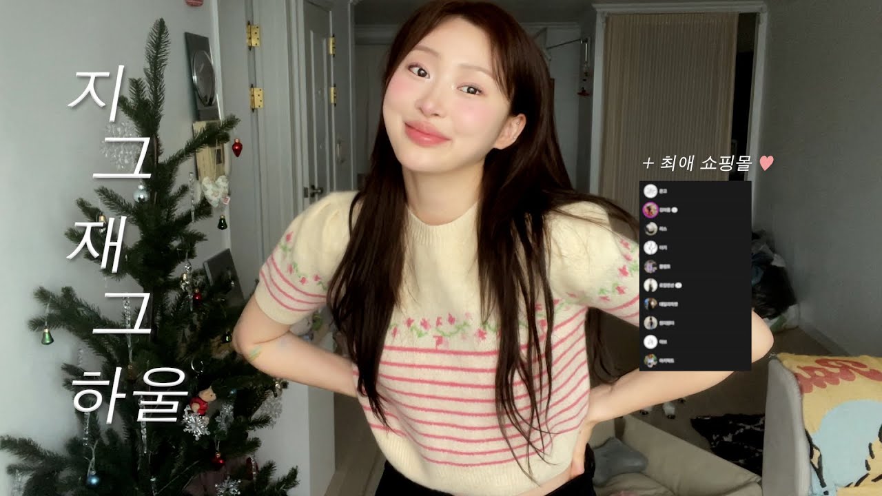 요청 20000% ••• 드디어!!!! 가지고 온 zㅣ그zㅐ그 쇼핑몰 하울 🔮