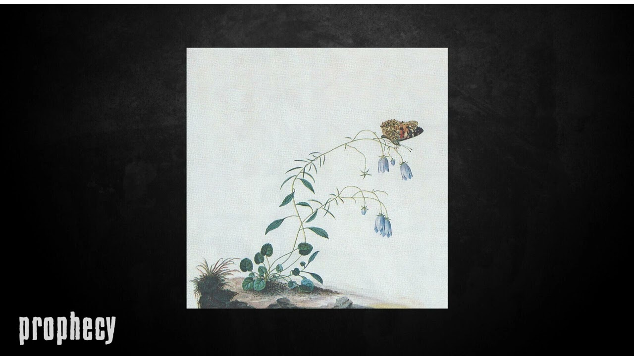 Botanist -&nbsp;Asclepias Curassavica