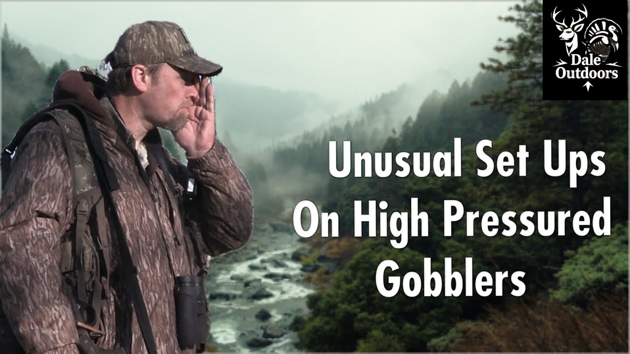 Unusual SET UPs on HIGH PRESSURED GOBBLERS