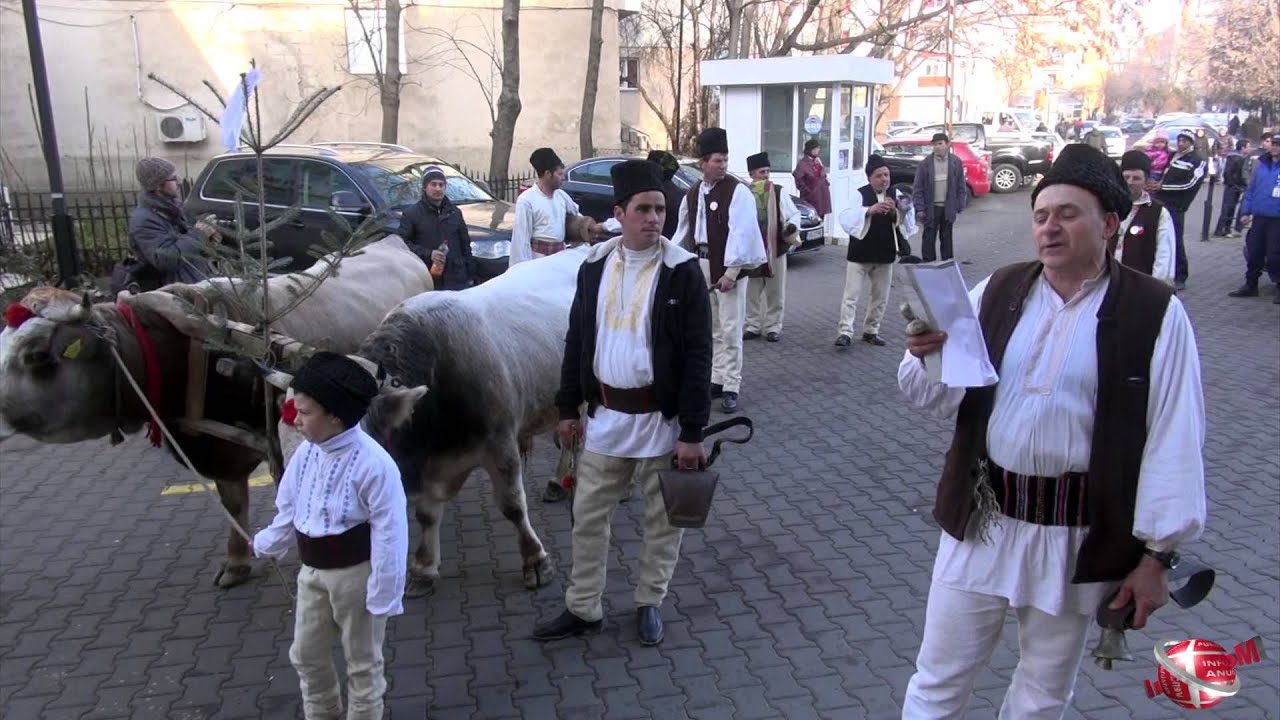 Plugusorul Nistoresti