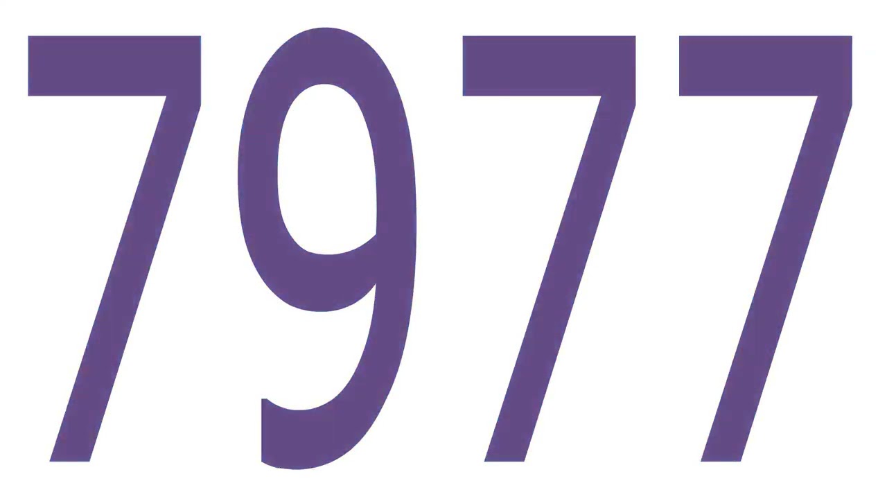 7977