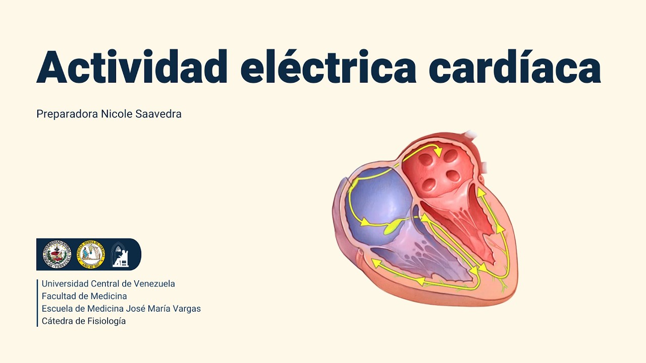 Actividad Eléctrica del Corazón // Nicole Saavedra