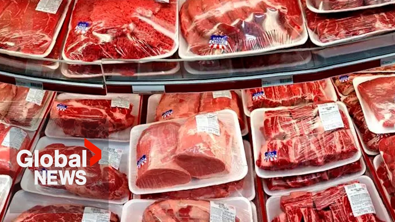 Canadians seek new sources of protein amid rising cost of meat