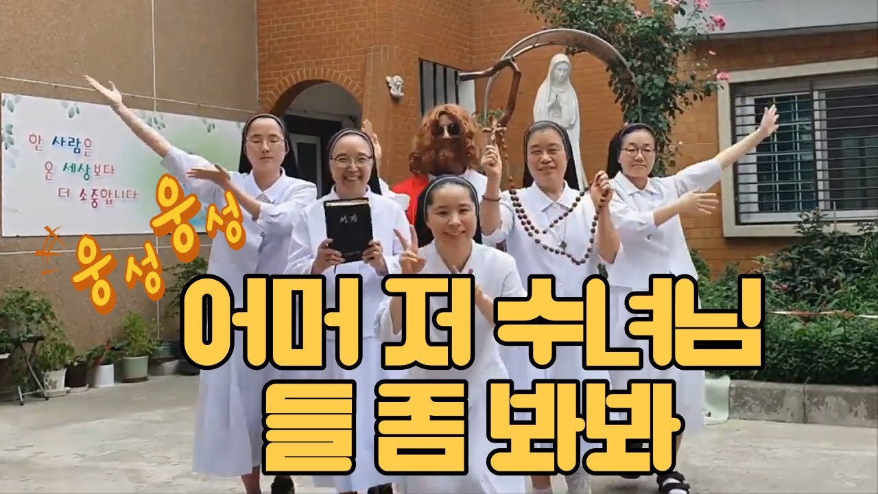 어머, 저 수녀님들 좀 봐봐! 😍 착한목자 수녀회 소개